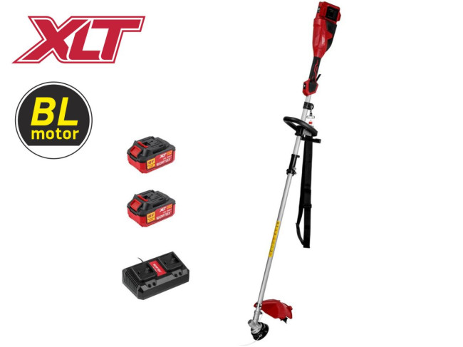 Триммер аккумуляторный WORTEX TB 3036-1 ALL1 XLT SET Арт.: 1334872 - фото1